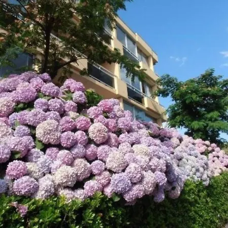 Cote D'azur 2 * Bormes-les-Mimosas