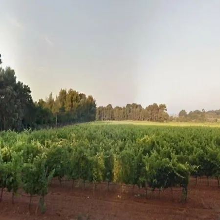 Cote D'azur 2 *